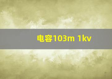 电容103m 1kv